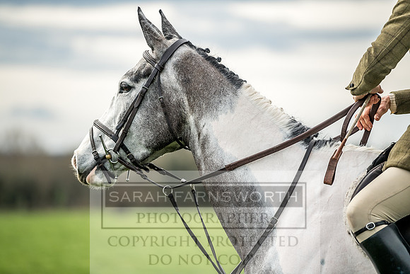 Wynnstay 020309-33