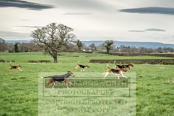 Wynnstay 020309-80