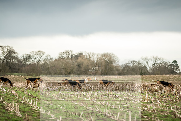 Wynnstay 020309-148