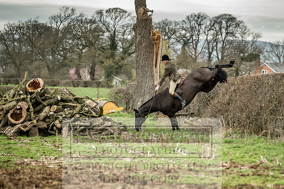 Wynnstay 020309-150