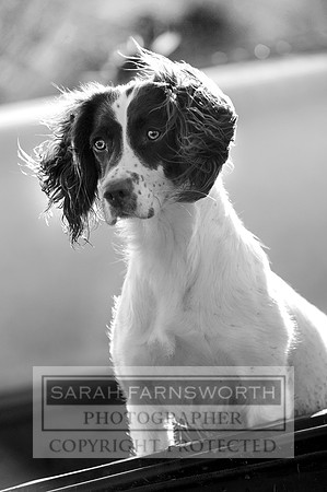 NCH 010113 012 bw