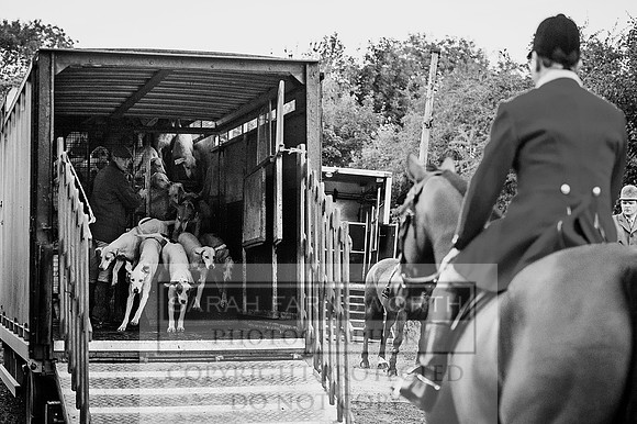 NCH 230915-2 bw
