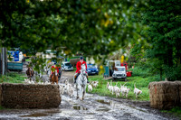 NCH 230915-5