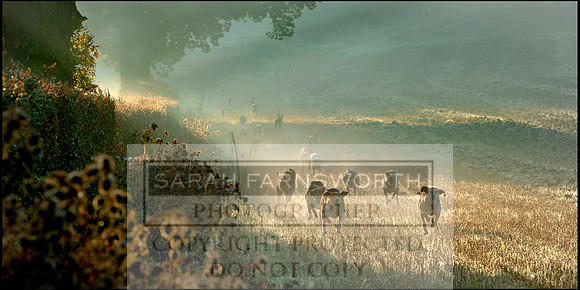 WH 201007 01 border