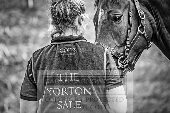 GUK Yorton Sale 2019-158