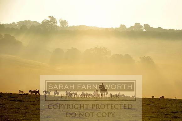 Wilton misty morning
