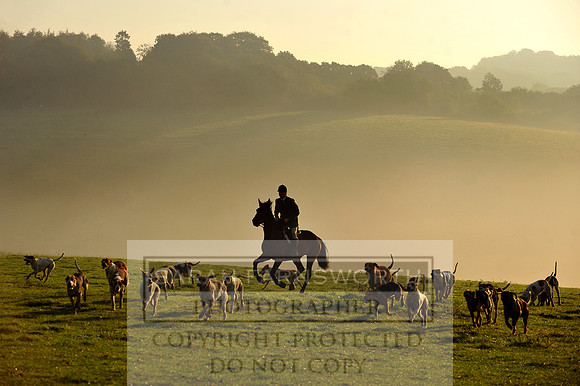 Wilton misty morning 2