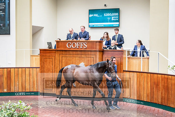 Goffs UK PY24-442