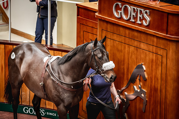Goffs UK Breeze Up 2022-268