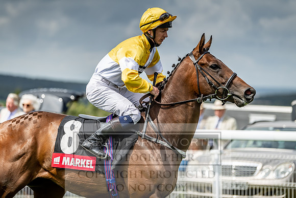 GUK Goodwood Sale 2019-97
