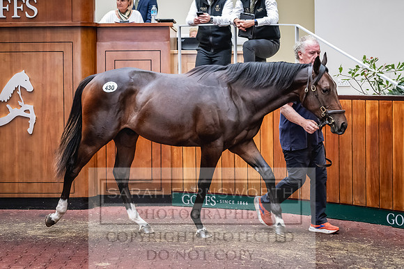 Goffs UK PY24-545