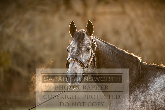 Tweenhills January 2019-96