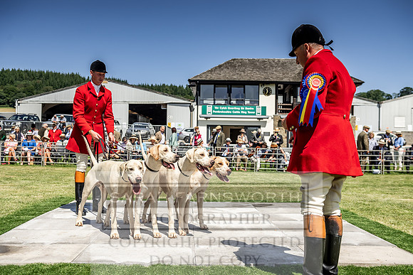Builth Hound Show 2019-97