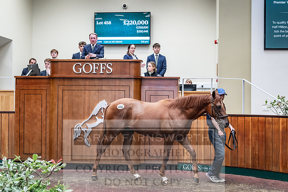 Goffs UK PY24-588