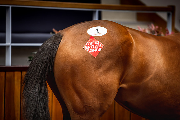 Goffs UK Breeze Up 2022-159