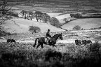 Exmoor Autumn 2020-7