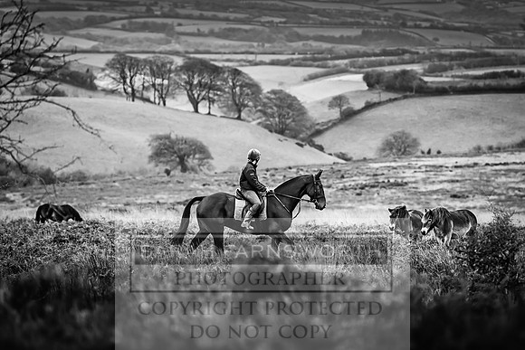 Exmoor Autumn 2020-7
