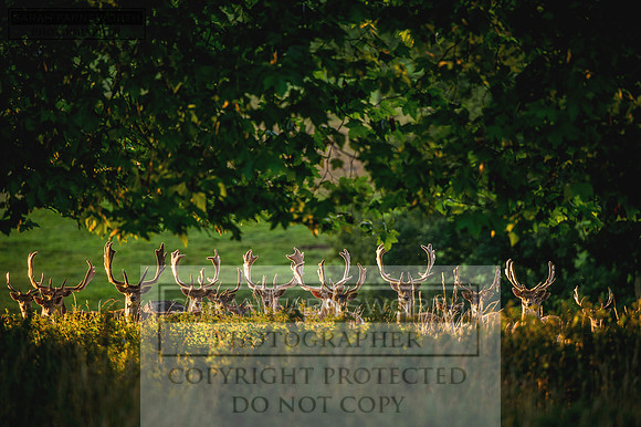 Northwick 210815-15
