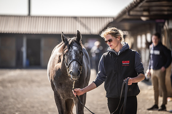 Goffs UK Breeze Up 2022-172