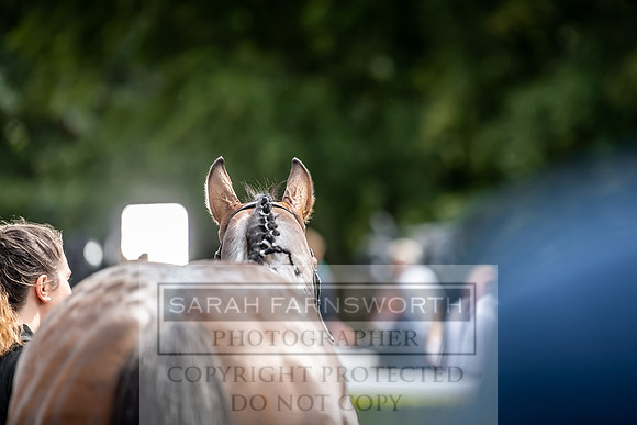 GUK Goodwood Sale 2019-121