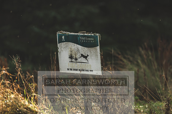 Scotland October 2019-8