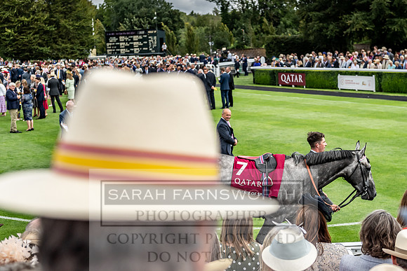 GUK Goodwood Sale 2019-133