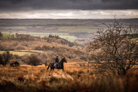 Exmoor Autumn 2020-4