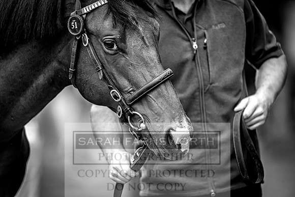 Goffs UK Premier Yearling Sale 2023-86