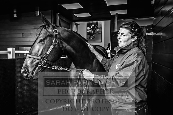 Goffs UK Premier Yearling Sale 2023-418
