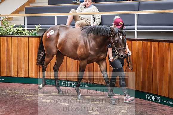 Goffs UK Premier Yearling Sale 2023-192