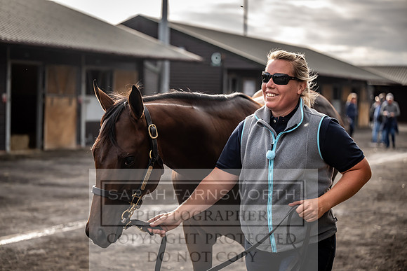 Goffs UK Premier Yearling Sale 2023-356