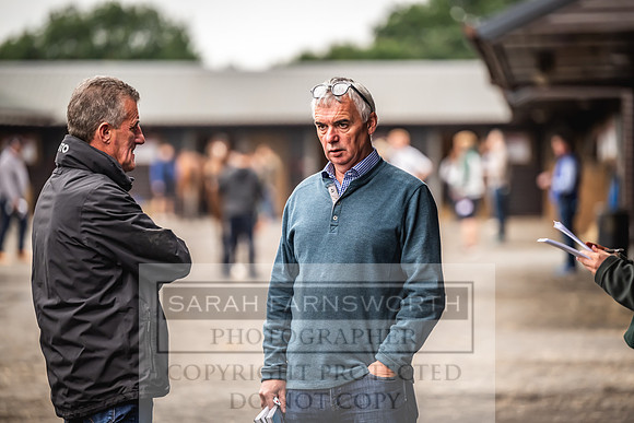 Goffs UK Premier Yearling Sale 2023-42