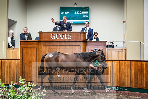 Goffs UK Premier Yearling Sale 2023-476