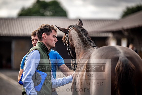 Goffs UK Premier Yearling Sale 2023-370