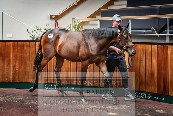 Goffs UK Premier Yearling Sale 2023-151