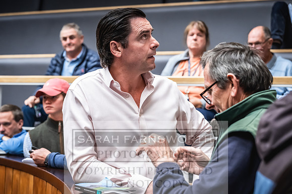 Goffs UK Premier Yearling Sale 2023-481