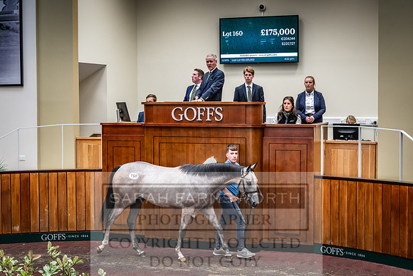 Goffs UK Premier Yearling Sale 2023-260