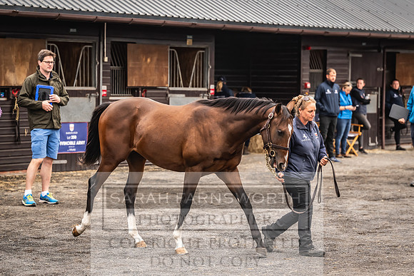 Goffs UK Premier Yearling Sale 2023-21