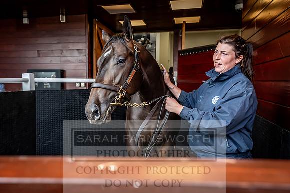 Goffs UK Premier Yearling Sale 2023-417