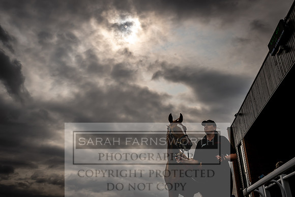 Goffs UK Premier Yearling Sale 2023-146