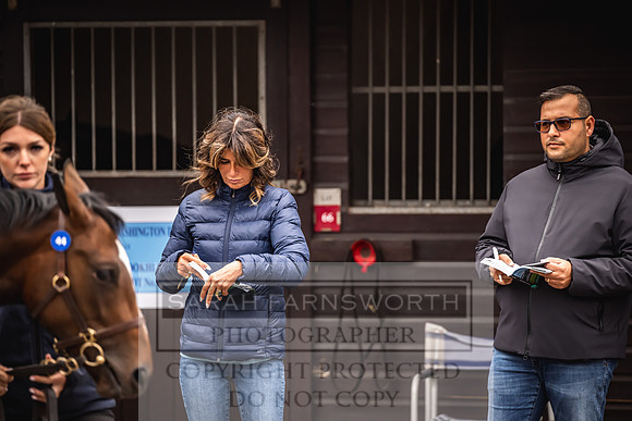 Goffs UK Premier Yearling Sale 2023-11