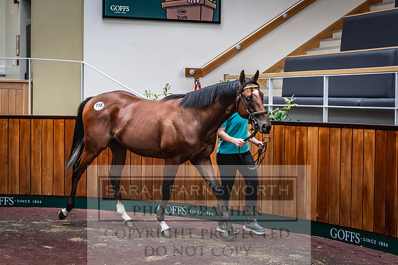 Goffs UK Premier Yearling Sale 2023-228