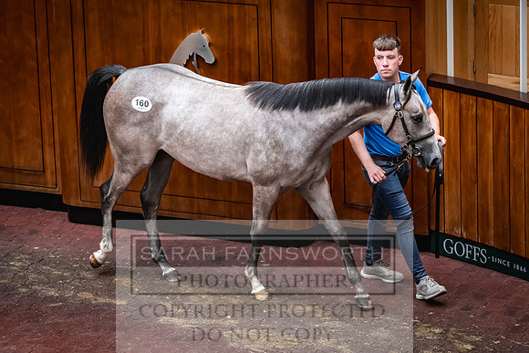 Goffs UK Premier Yearling Sale 2023-259