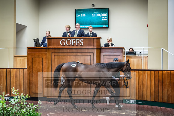 Goffs UK Premier Yearling Sale 2023-461