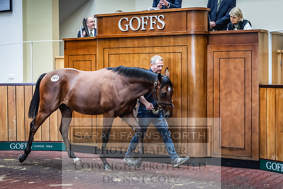 Goffs UK Premier Yearling Sale 2023-445