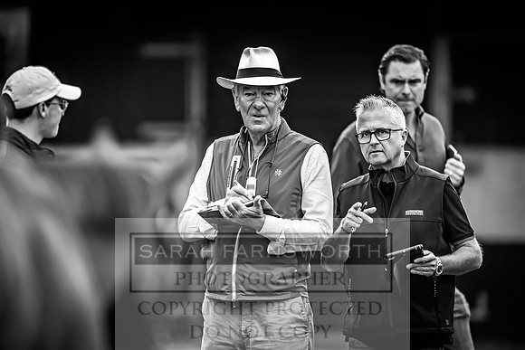 Goffs UK Premier Yearling Sale 2023-97