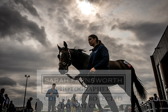 Goffs UK Premier Yearling Sale 2023-144
