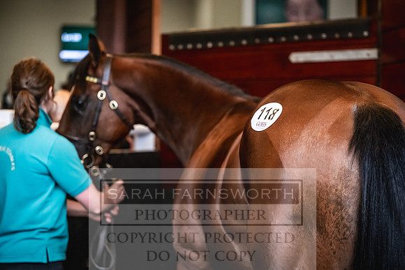 Goffs UK Premier Yearling Sale 2023-225