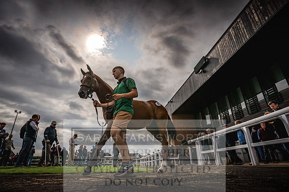 Goffs UK Premier Yearling Sale 2023-138