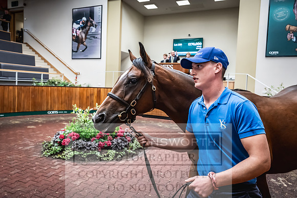 Goffs UK Premier Yearling Sale 2023-466